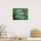 Huid- en onderhuidaandoeningen poster (Keuken)