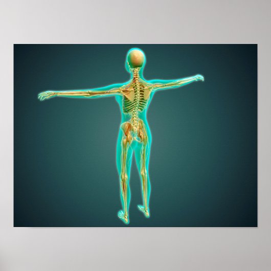 Huid- en onderhuidaandoeningen poster (Voorkant)