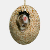 Huid-en-Seek Pauley Ornament (Rechts)