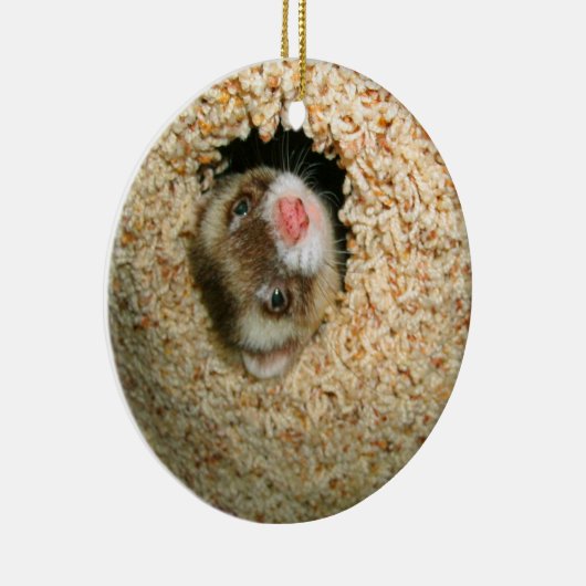 Huid-en-Seek Pauley Ornament (Rechts)