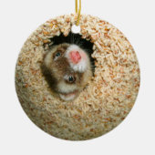 Huid-en-Seek Pauley Ornament (Voorkant)