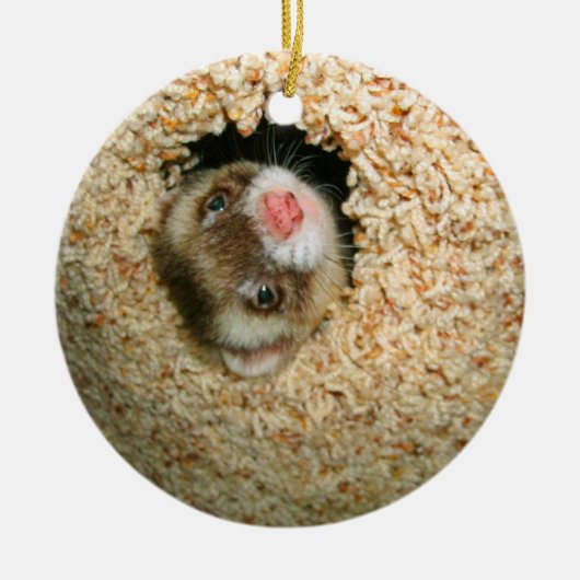 Huid-en-Seek Pauley Ornament (Voorkant)