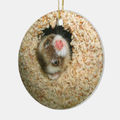 Huid-en-Seek Pauley Ornament (Links)