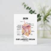 Huid onze grootste orgaan (dermale lagen) briefkaart (Staand voorkant)