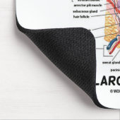 Huid onze grootste orgaan (dermale lagen) muismat (Hoek)