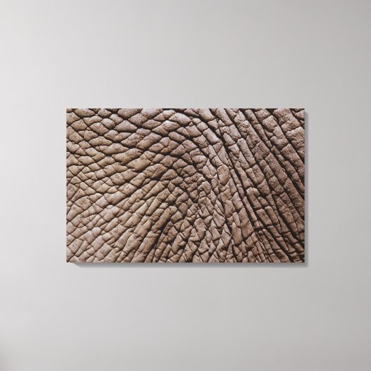 Huid van Afrikaanse olifanten (Loxodonta africana) Canvas Afdruk (Voorkant)