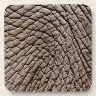Huid van Afrikaanse olifanten (Loxodonta africana) Drankjes Onderzetter