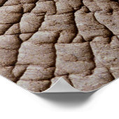 Huid van Afrikaanse olifanten (Loxodonta africana) Poster (Hoek)