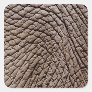 Huid van Afrikaanse olifanten (Loxodonta africana) Vierkante Sticker