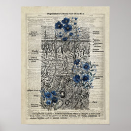 Huidanatomie Blauw Bloemen  Woordenboek Kunst Poster