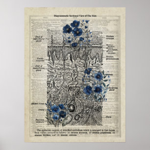 Huidanatomie Blauw Bloemen  Woordenboek Kunst Poster