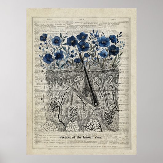 Huidanatomie Blauw Bloemen  Woordenboek Kunst Poster (Voorkant)