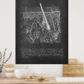 Huidanatomie Sectioneel Uitzicht Dermatologist Dec Poster (Keuken)