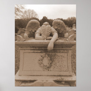 Huidengel Poster sepia
