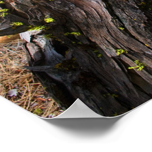 Huidig Poster (Hoek)