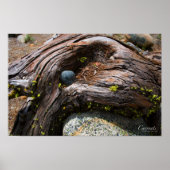 Huidig Poster (Voorkant)