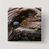 Huidige Button (Voorkant)