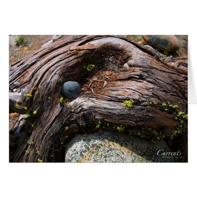 Huidige Kaart (Voorkant Horizontaal)