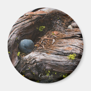 Huidige Magnet