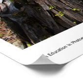 Huidige Prints (Hoek)