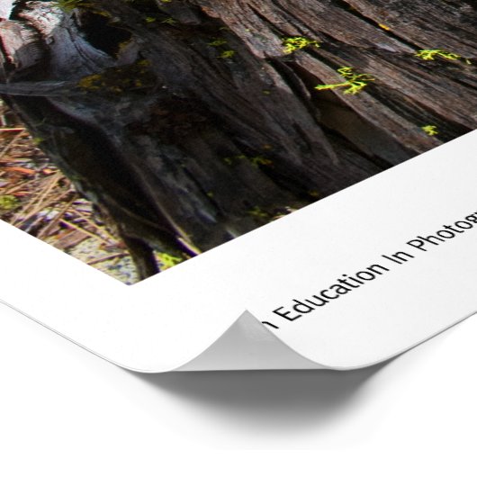 Huidige Prints (Hoek)