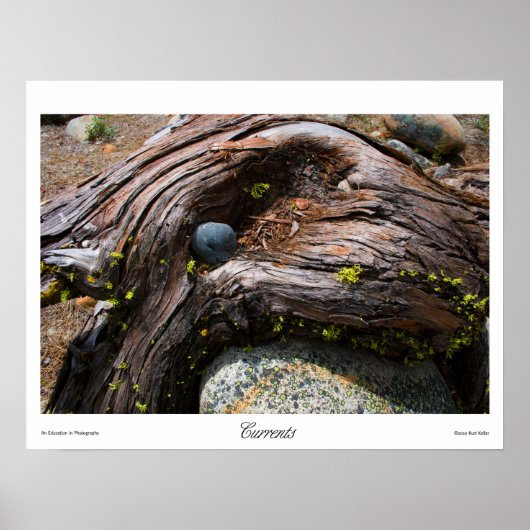 Huidige Prints (Voorkant)