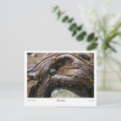 Huidige Prints Briefkaart (Staand voorkant)