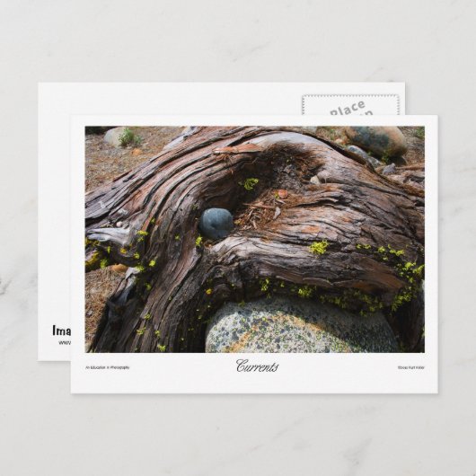 Huidige Prints Briefkaart (Voorkant / Achterkant)