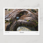 Huidige Prints Briefkaart (Voorkant)