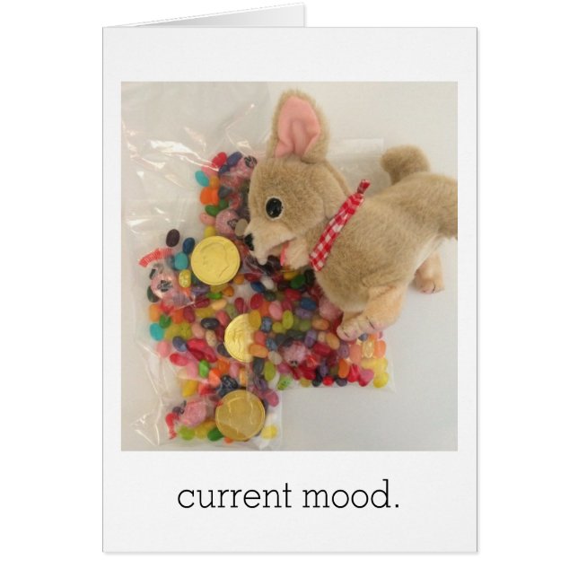 huidige stemming (Voorkant)