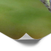 Huidtrommelvogel (vrouw) met petunia Pi Poster (Hoek)