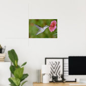 Huidtrommelvogel (vrouw) met petunia Pi Poster (Thuiskantoor)