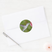 Huidtrommelvogel (vrouw) met petunia Pi Ronde Sticker (Envelop)