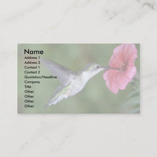 Huidtrommelvogel (vrouw) met petunia visitekaartje (Voorkant)