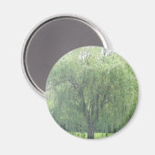 Huilende WIllow Magneet (Voorkant / Achterkant)