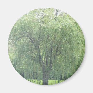 Huilende WIllow Magneet