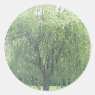 Huilende WIllow Ronde Sticker