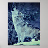 Huilende Wolf Winter Woud Poster (Voorkant)