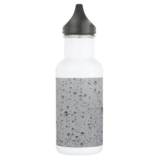 HUIS CENTIPEDE. WATERFLES  (Links)