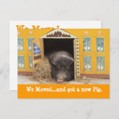 Huis en varken We verhuisd nieuwe adres Kaarten (Voorkant / Achterkant)