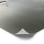 Huis Finch Bird Art Print Poster (Hoek)