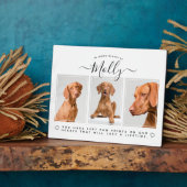 Huis Fotoplaat (Zijkant)