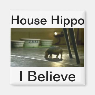 Huis Hippo Magneet