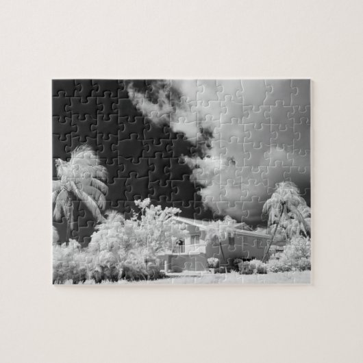 Huis in de Florida Keys en zijn palmbomen, VS. Legpuzzel (Horizontaal)