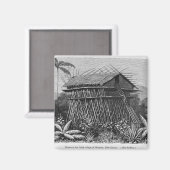 Huis in het Arfak-dorp Memiwa, Nieuw-Guinea Magneet (Voorkant / Achterkant)