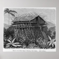 Huis in het Arfak-dorp Memiwa, Nieuw-Guinea