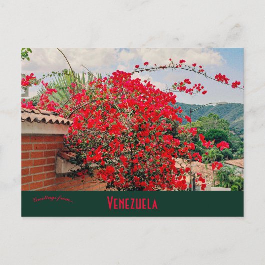 Huis met bloemen Caracas Venezuela Briefkaart (Voorkant)