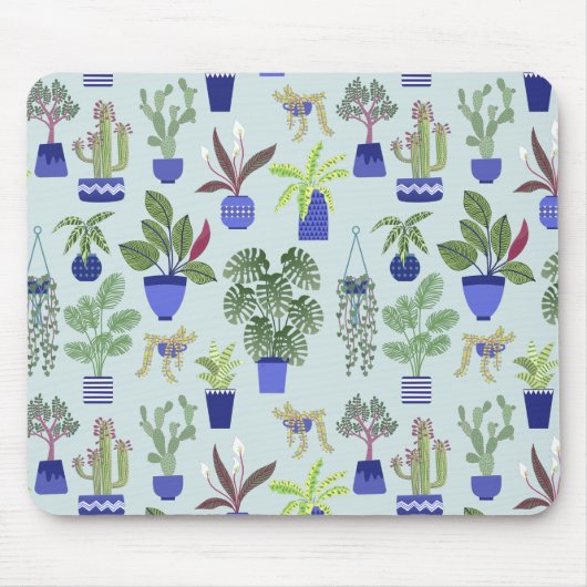 Huis Plant Cactus Succulent Blue Muismat (Voorkant)