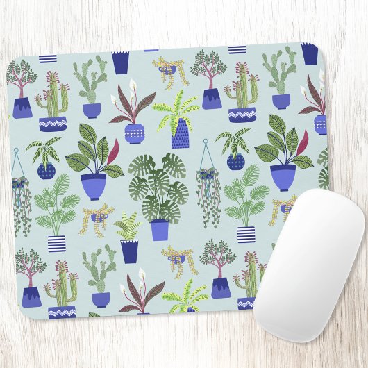 Huis Plant Cactus Succulent Blue Muismat