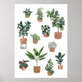 Huis Plant Collectie 3 Poster
